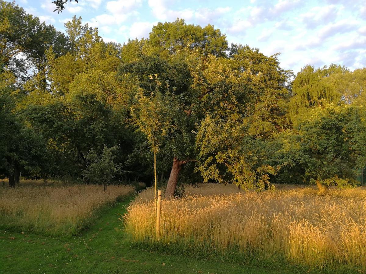 B&B Asbeek Asse Bagian luar foto